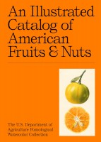 https://p-u-n-c-h.ro/files/gimgs/th-1731_an-illustrated-catalog-of-american-fruits-nuts-49_v3.jpg