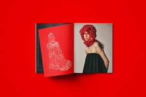 https://p-u-n-c-h.ro/files/gimgs/th-3692_MOCKUP_RED_2.jpg